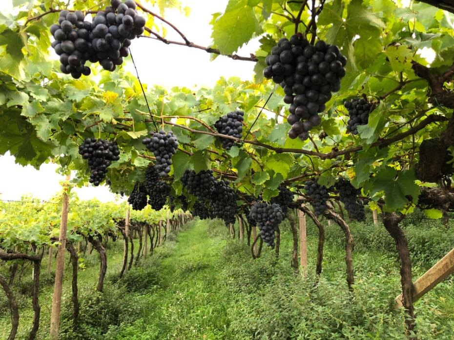    Shutterstock/FOTODOM