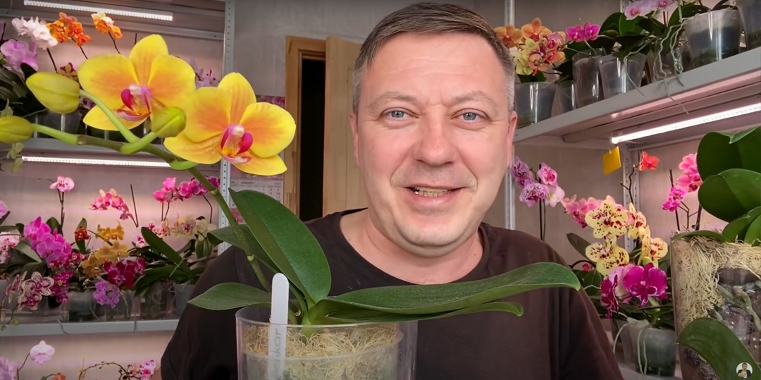 Создать карусель