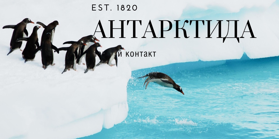 Кто первым увидел Антарктиду и почему на неё не высаживались 75 лет?