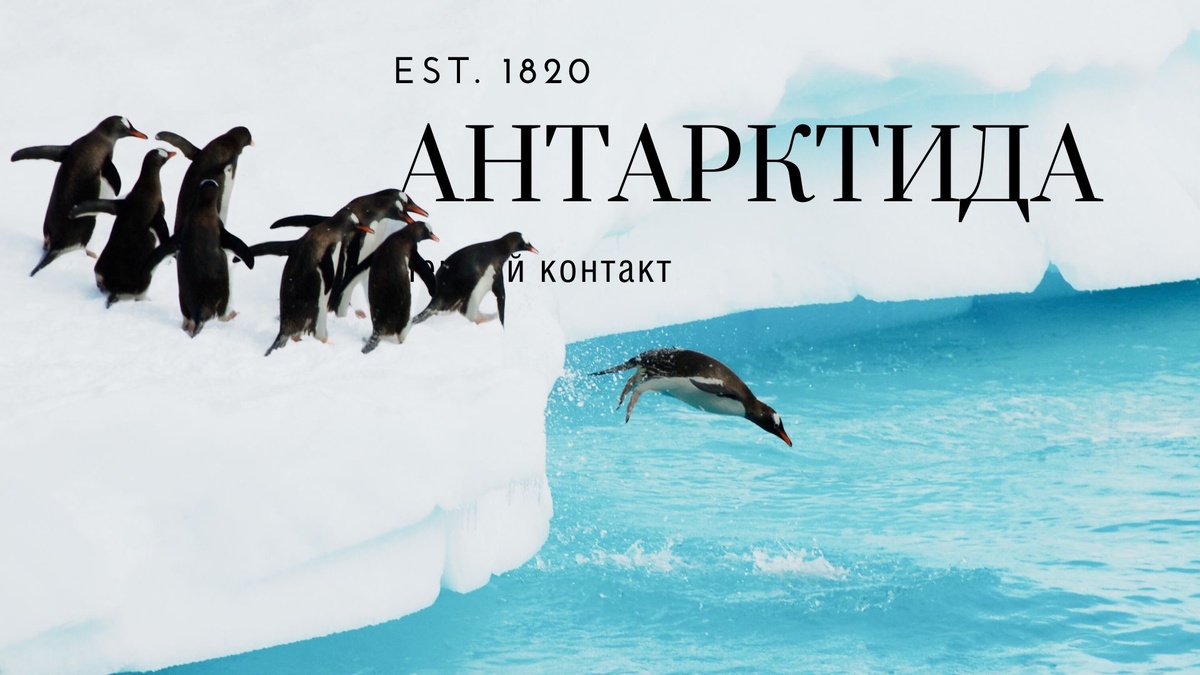 Кто первым увидел Антарктиду и почему на неё не высаживались 75 лет?