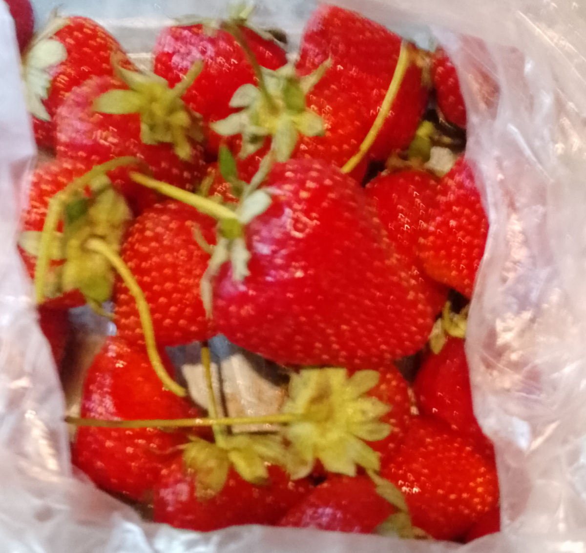 Личное фото