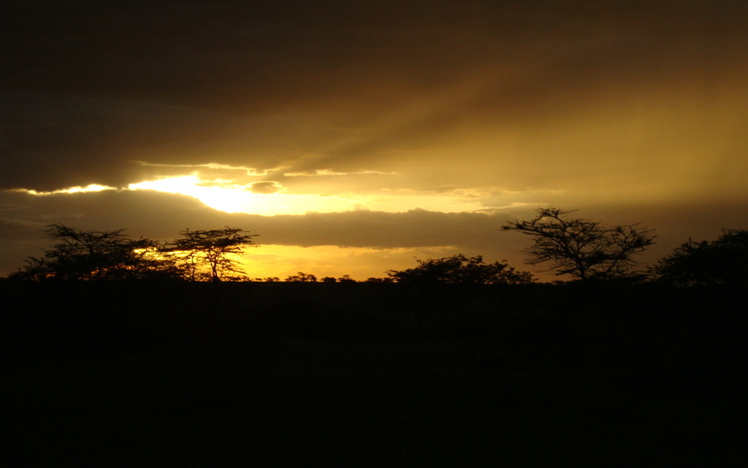    Жителей Удмуртии предупреждают о грозах 7 июля