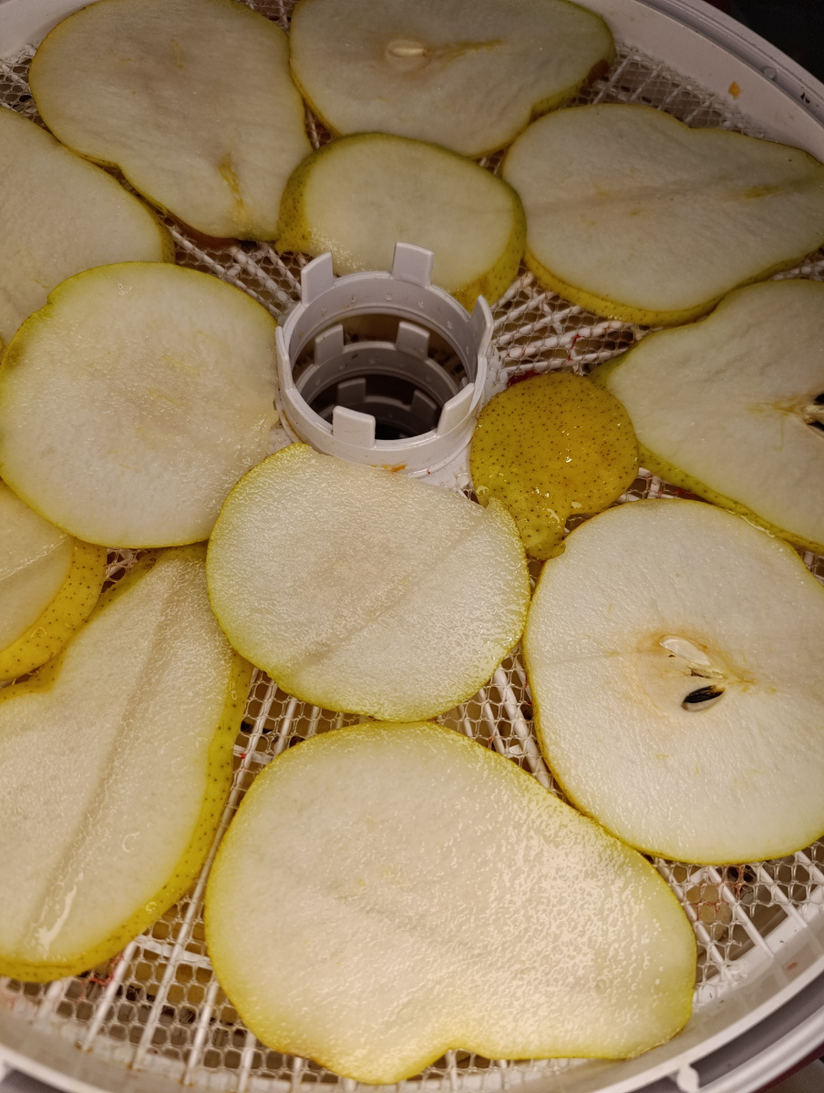 Фото Уралочка 