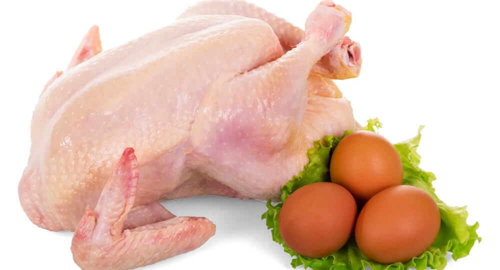 Новое подорожание куриного мяса и яиц из-за новых требований – сразу на 25%