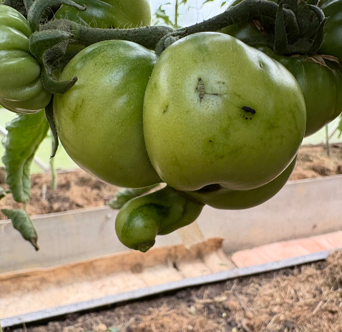 И так и эдак 