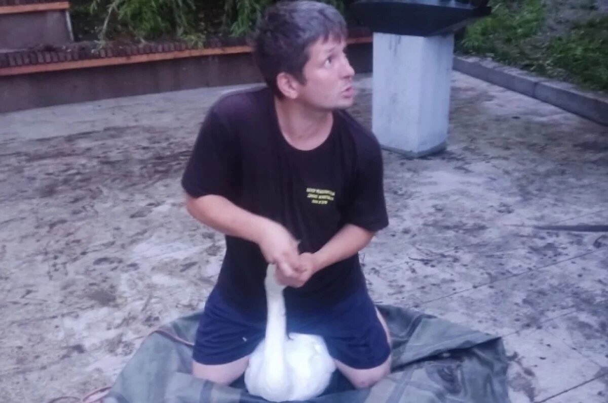    В Уфе лебедь, обитающий в саду Аксакова, проглотил рыболовный крючок