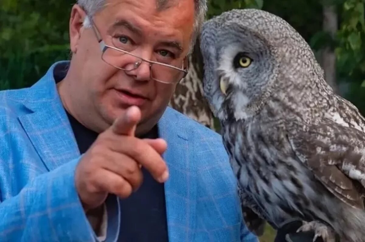    Андрей Горбань.