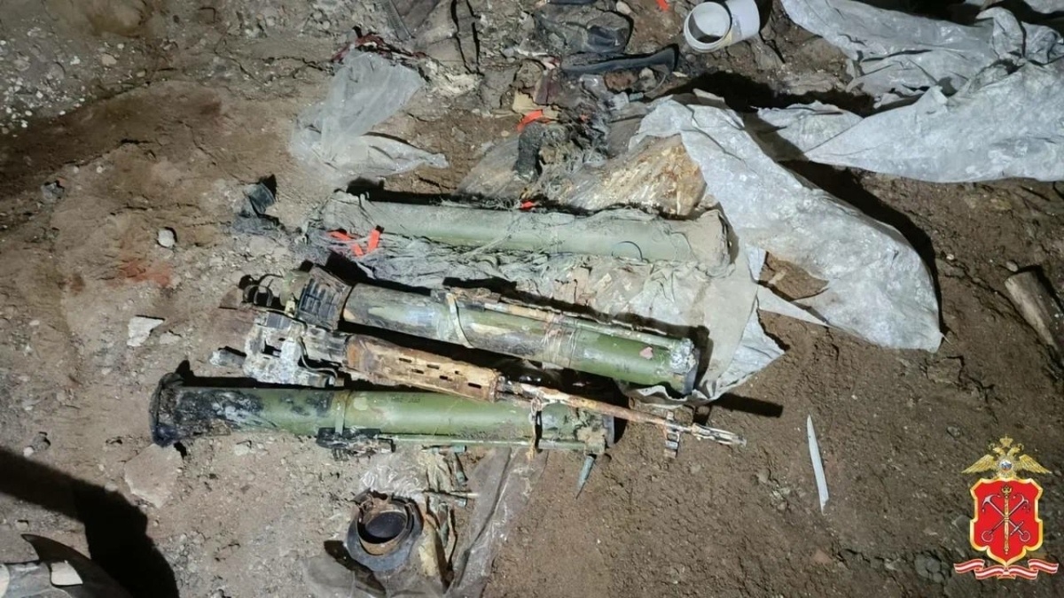 Фото: пресс-служба ГУ МВД России по Петербургу и Ленобласти