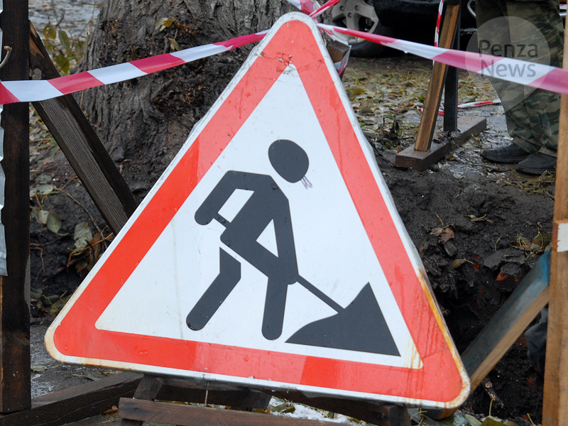    © Фото из архива ИА «PenzaNews»