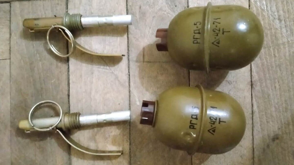     Источник: Пресс-служба Главного управления Росгвардии по Петербургу и Ленобласти