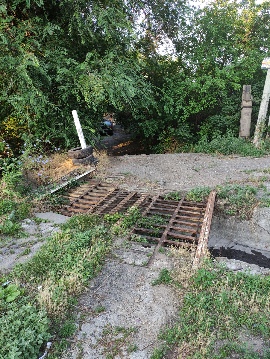 Одна из дорожек к роднику с ул. Урицкого