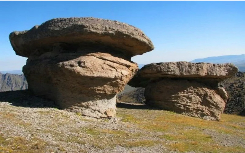 Вот они - каменные грибы. Фото автора.