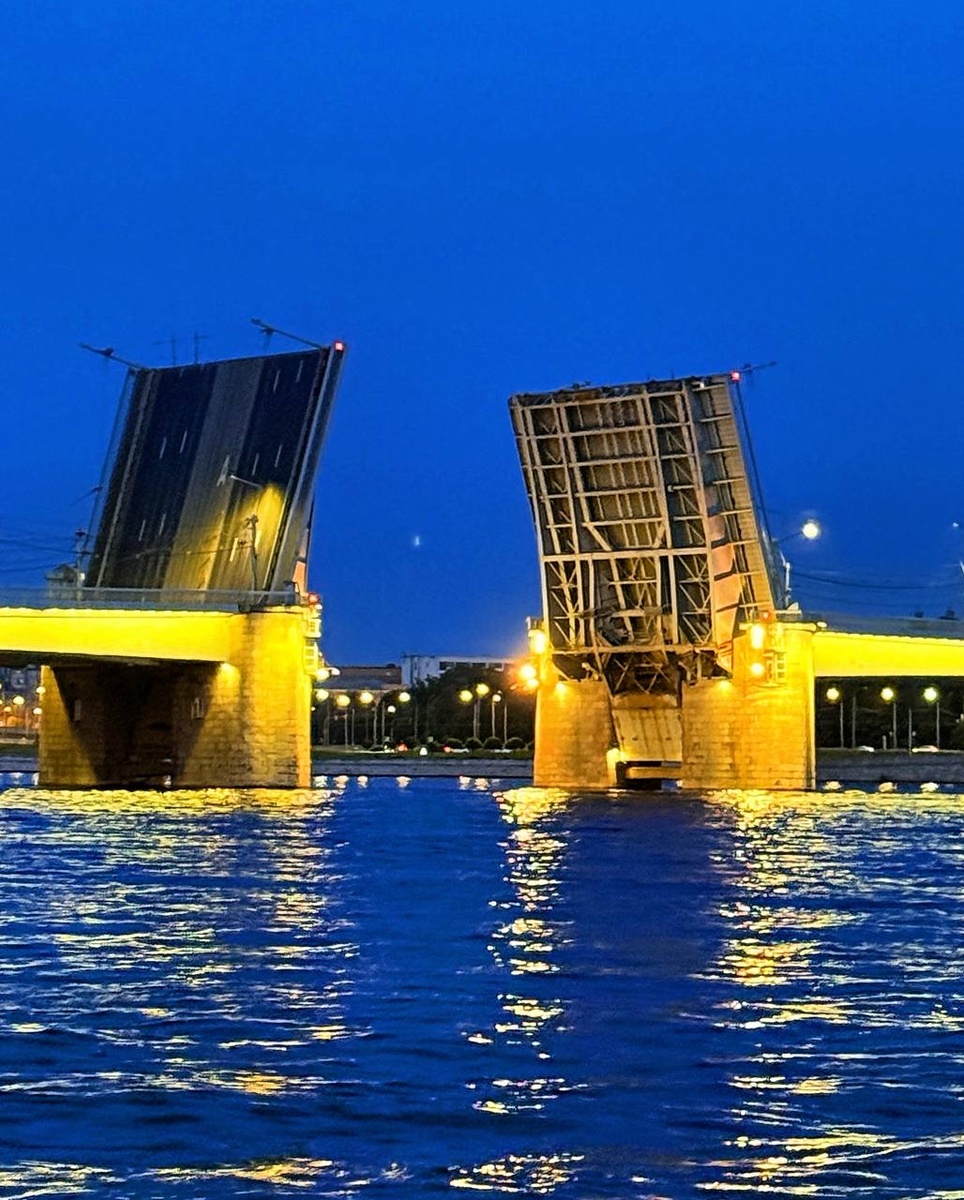 Мост Александра Невского.