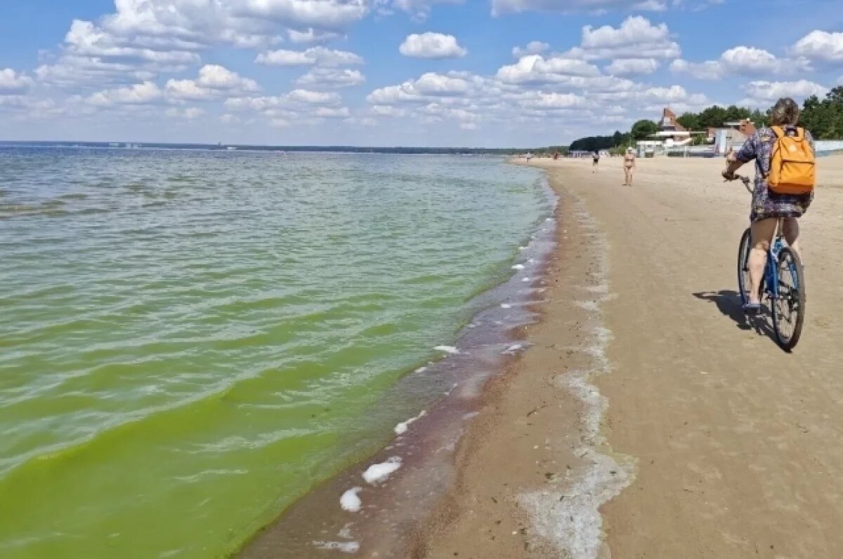    Ссора супругов на нудистском пляже в Петербурге закончилась изнасилованием