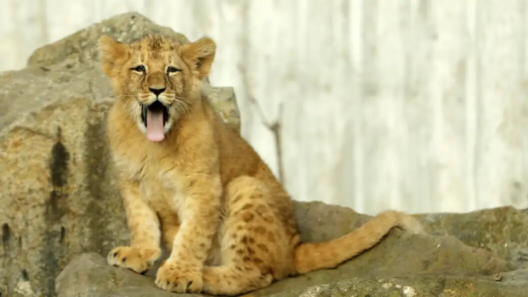    Фото: KH via www.imago-images.de/Globallookpress