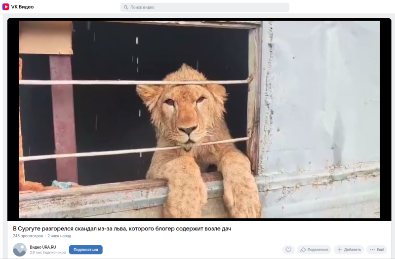   Фото: скриншот видео на канале Ura.ru в соцсети "ВКонтакте"