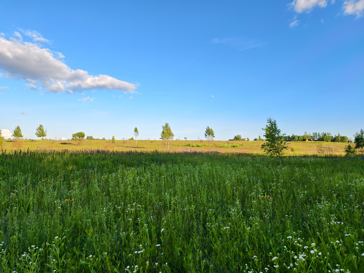 Смоленские просторы 