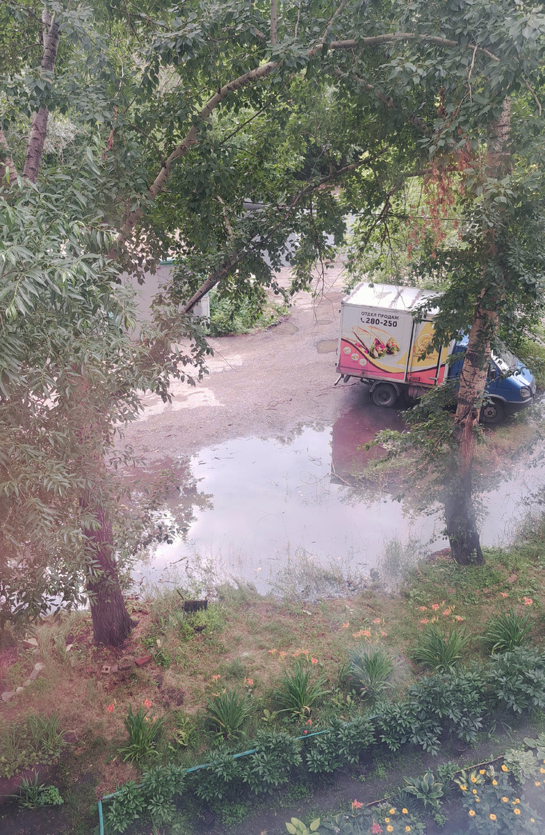 Лужа после ночного дождя