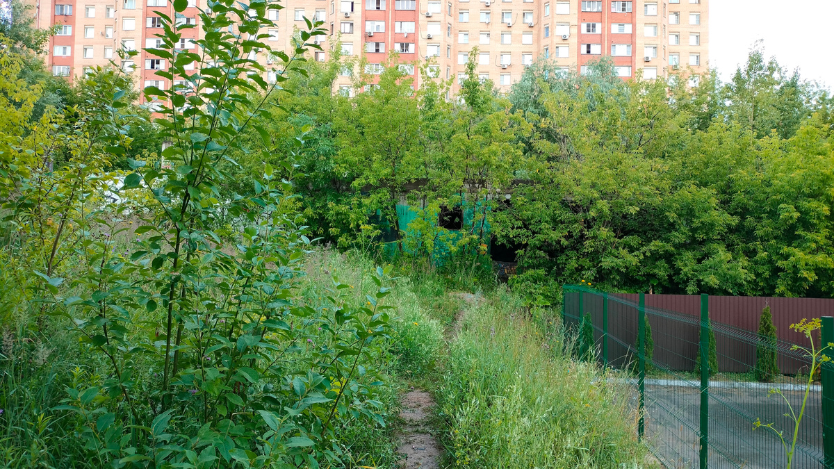 Заросший первый уровень многоэтажного паркинга