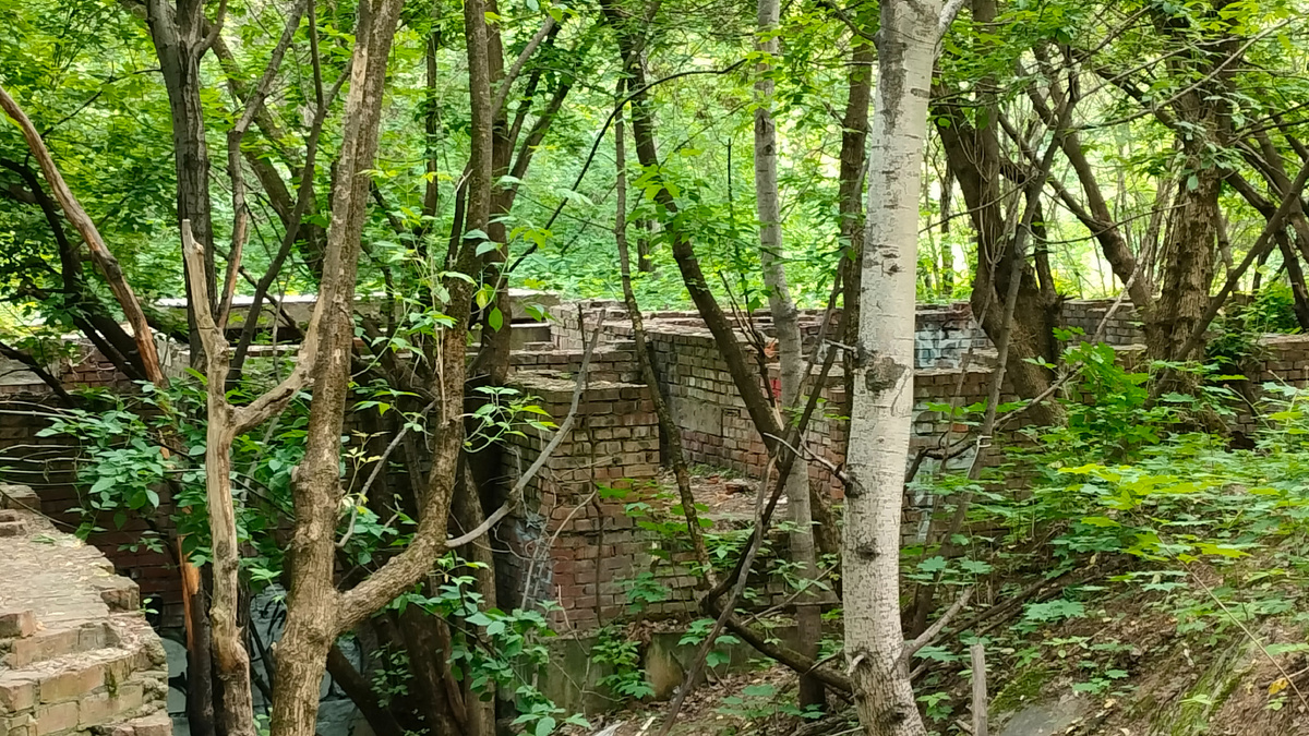 Стены из кирпича. Июль 2023-го