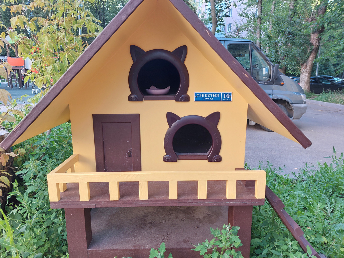 Фото автора