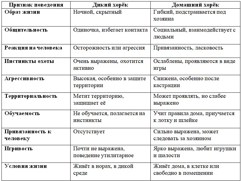 📊 Сравнительная таблица поведения диких и домашних хорьков
