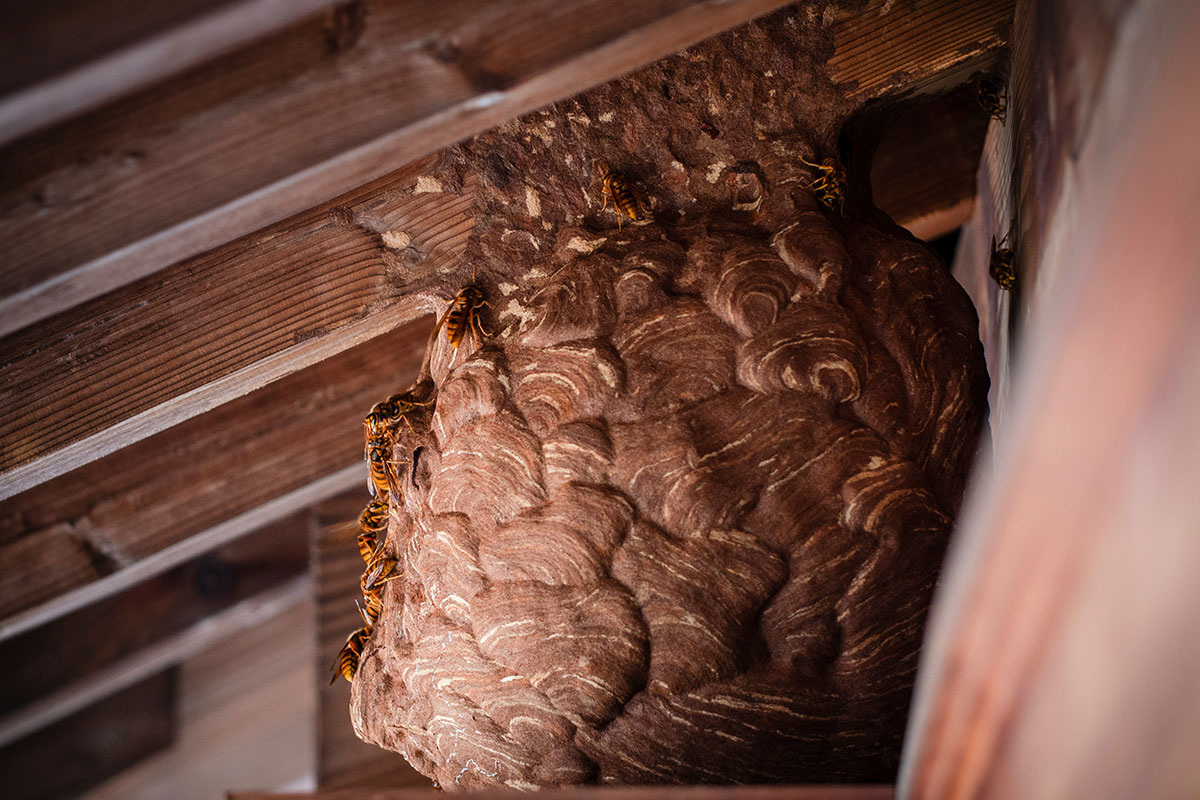    Фото: Jinomono Media / Unsplash.com