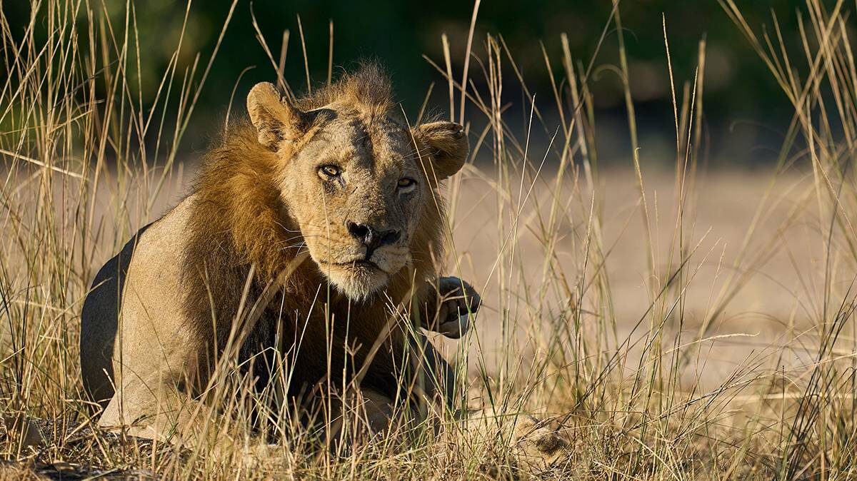    Фото: Shutterstock