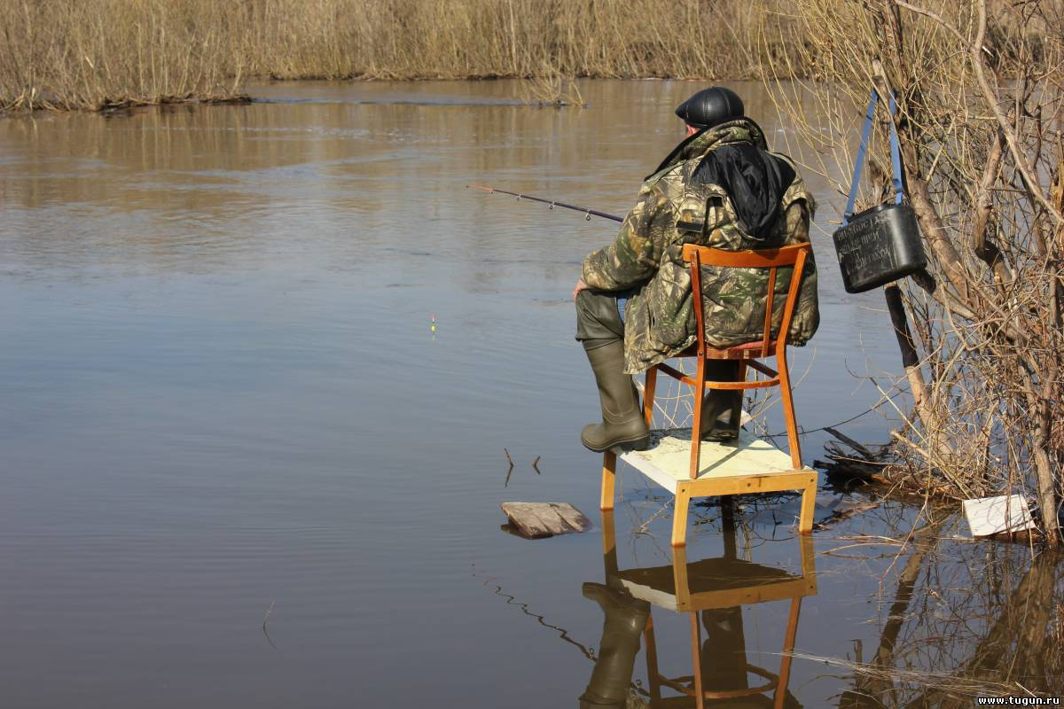 Фото с сайта: http://www.bylkov.ru/_fr/2/2234062.jpg