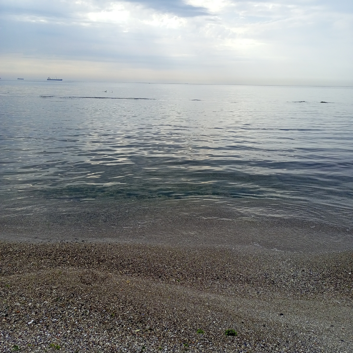 Любимое Море