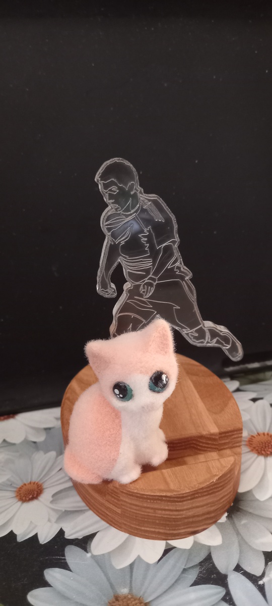 Кошка сразу запрыгнула на подставку Аполлона. Потому что почувствовала, что он хороший и не обидит её.