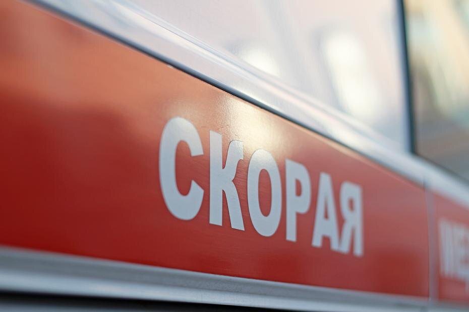    Никита Попов/РБК/News.ru