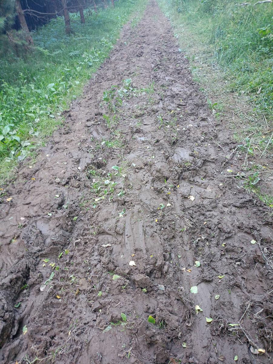 Дорога к реке... Пипец. Но мы же терпим.. Бог терпел, и нам велел. Всё разбили всадники на лошадях... Дорога одна, маршрут у них не меняется. 