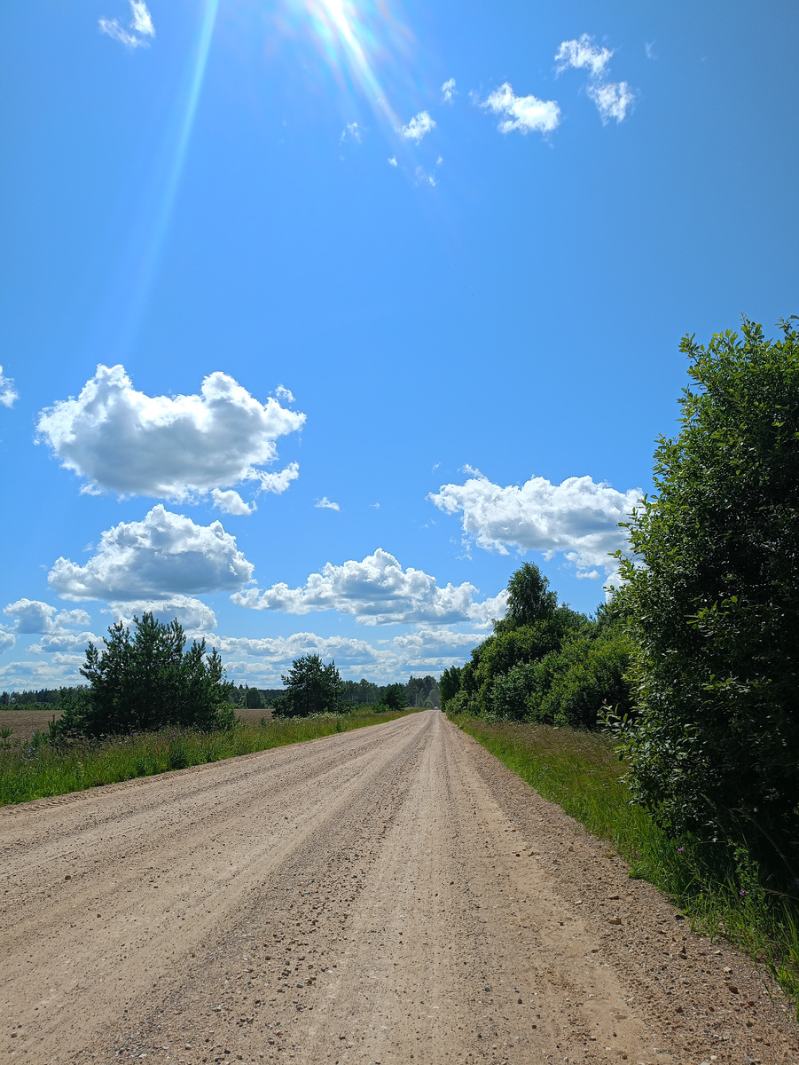 Ещё дорога.. Пыльная)  но гулять то надо где-то) 
