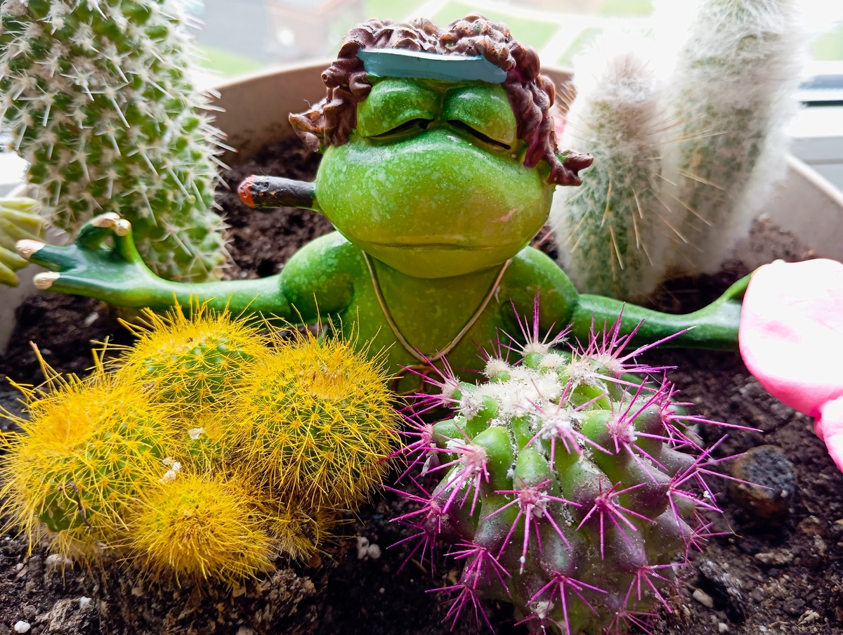 Я на даче. Шутка