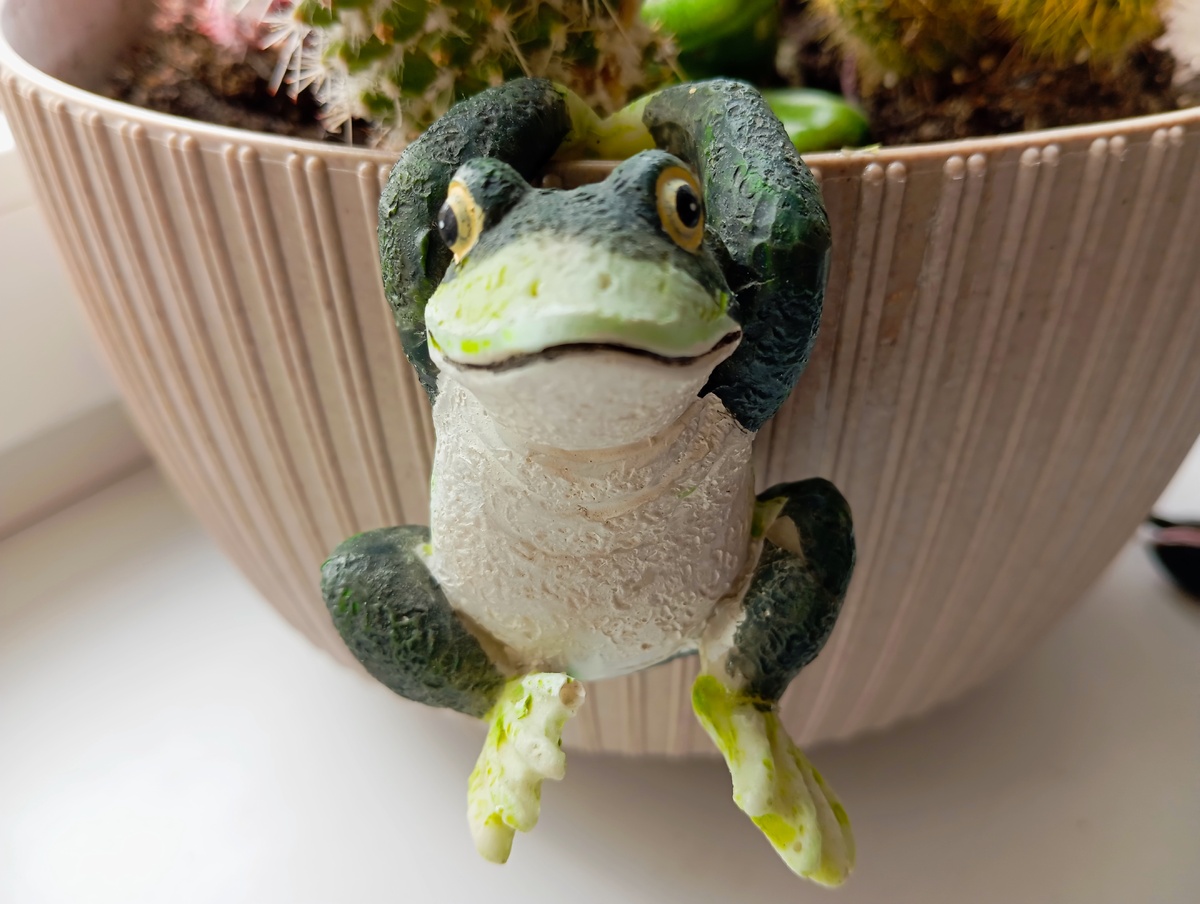 Говорят к деньгам