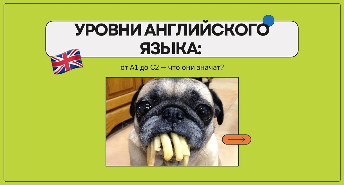 Изображение: Family English