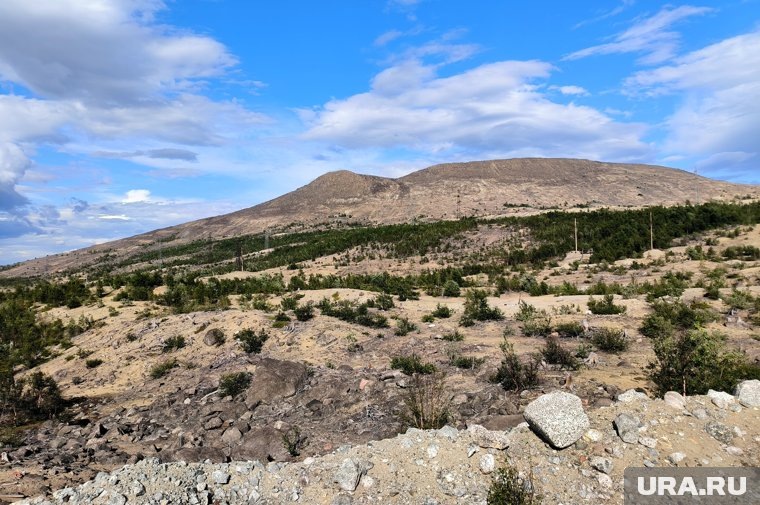 В день проведения забега наблюдались неблагоприятные погодные условия
Фото: Maksim Konstantinov/Global Look Press