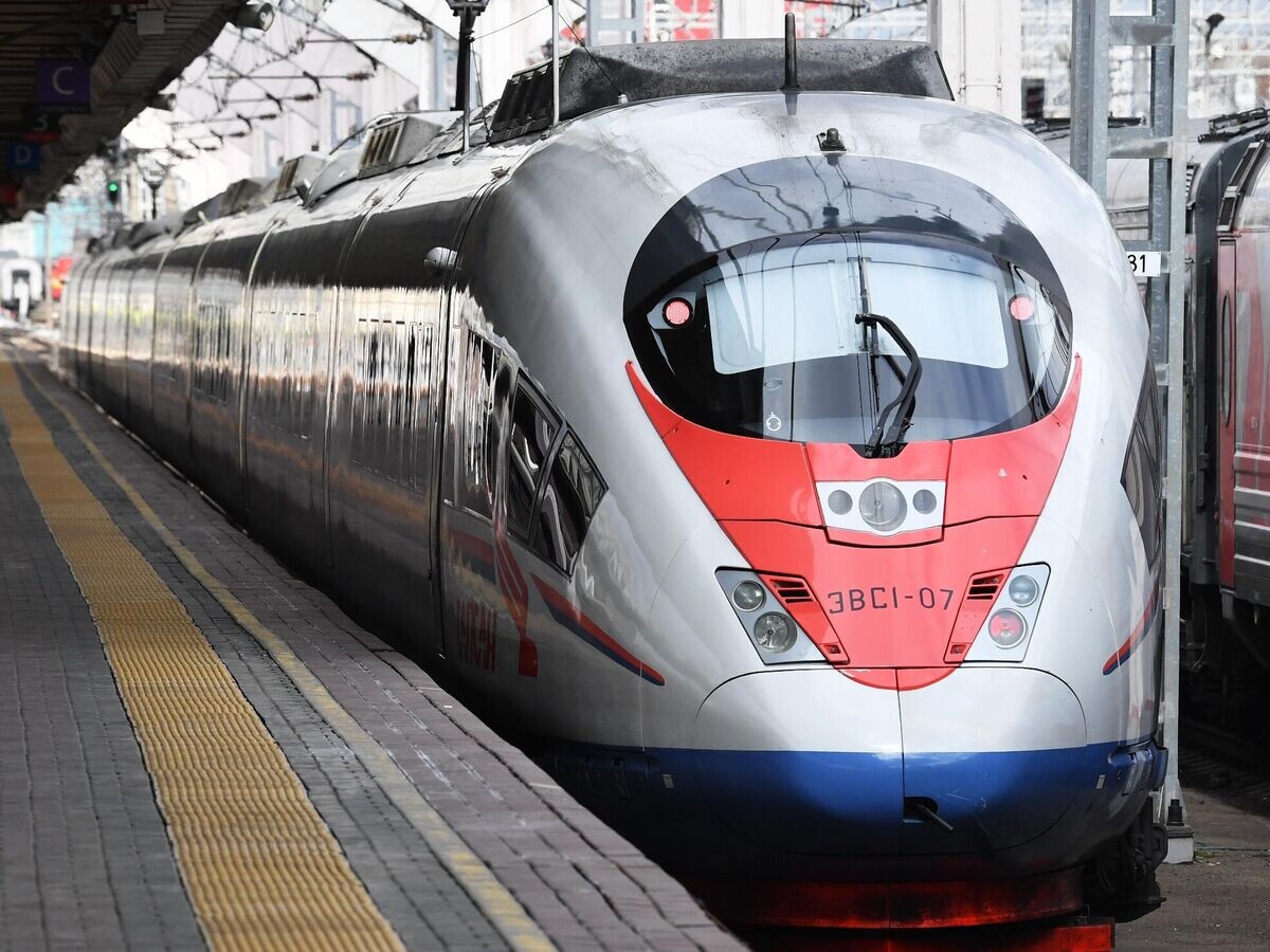    Поезд "Сапсан" на Ленинградском вокзале в Москве© РИА Новости / Михаил Воскресенский