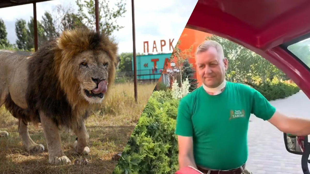 Олег Зубков Парк Тайган почти с откушеной львом головой бегает и какашки за павлинами убирает  
