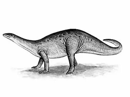 Арктозавр (возможно).