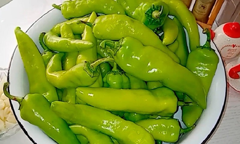 Маринуем острый перец на зиму – особый кавказский рецепт 