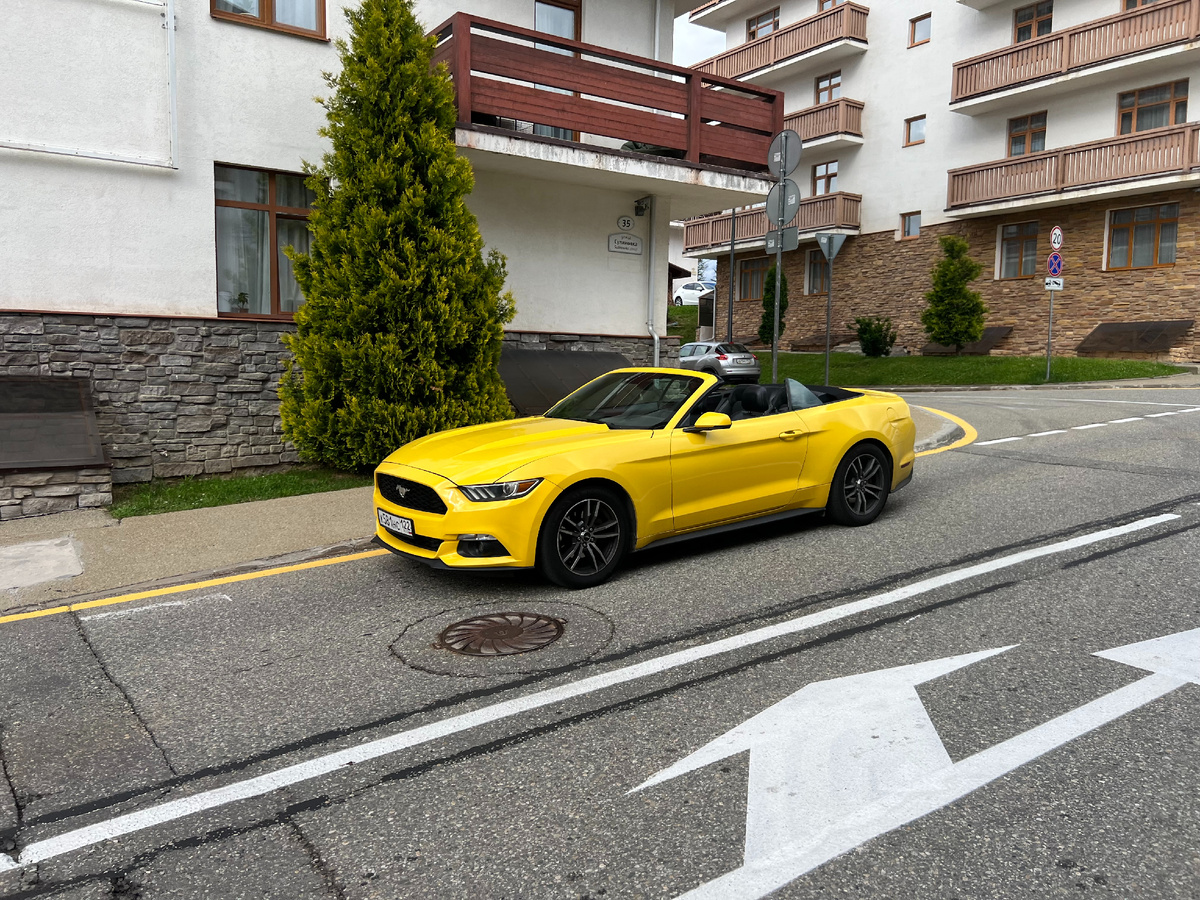 Такой транспорт часто встречается в Красной Поляне