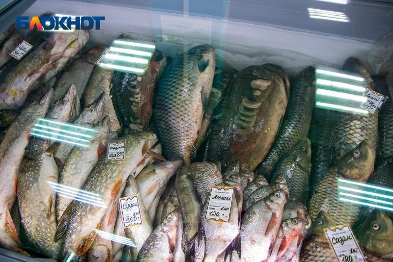 Какие паразиты встречаются в пресноводной рыбе и как они могут навредить здоровью волжан?