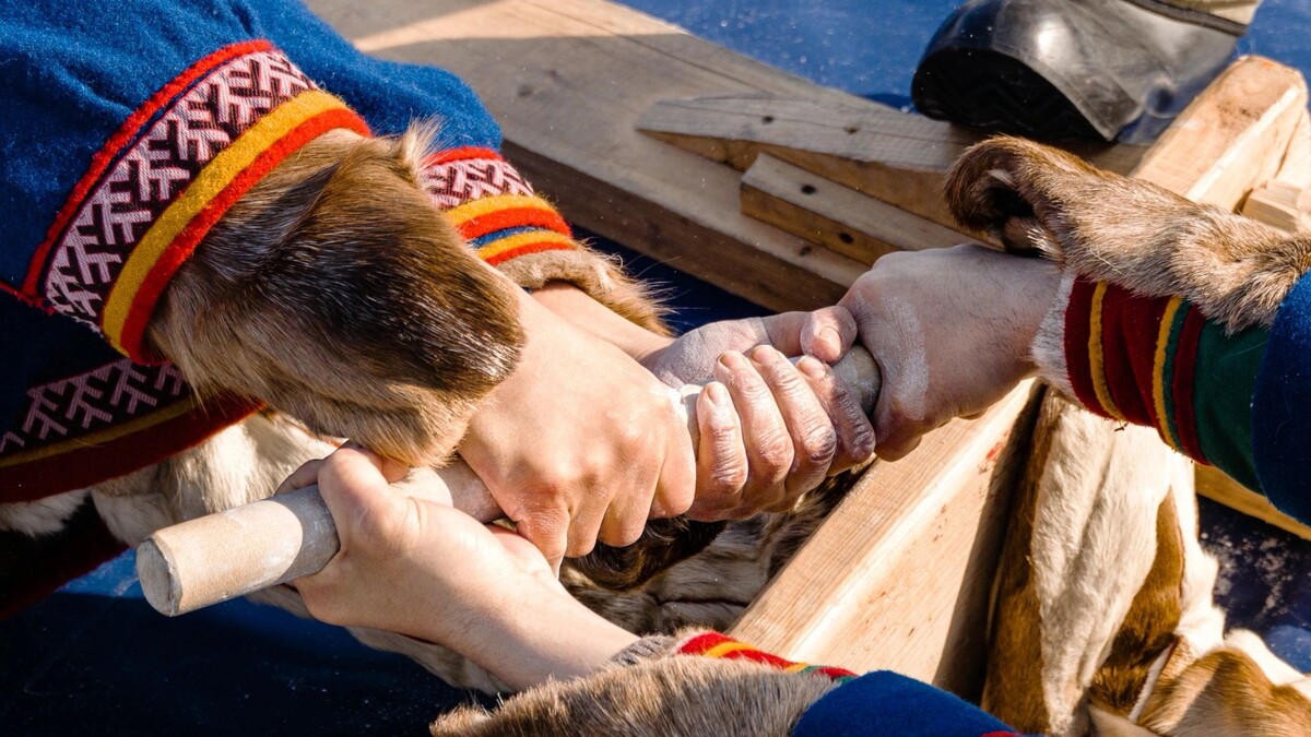    Фото: Юлия Чудинова/«Ямал-Медиа»