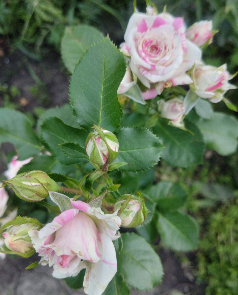 фото Татьяны