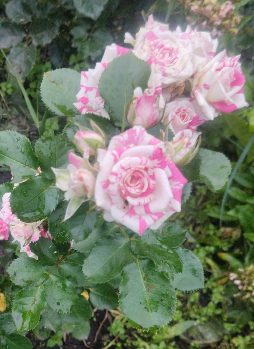 фото Татьяны