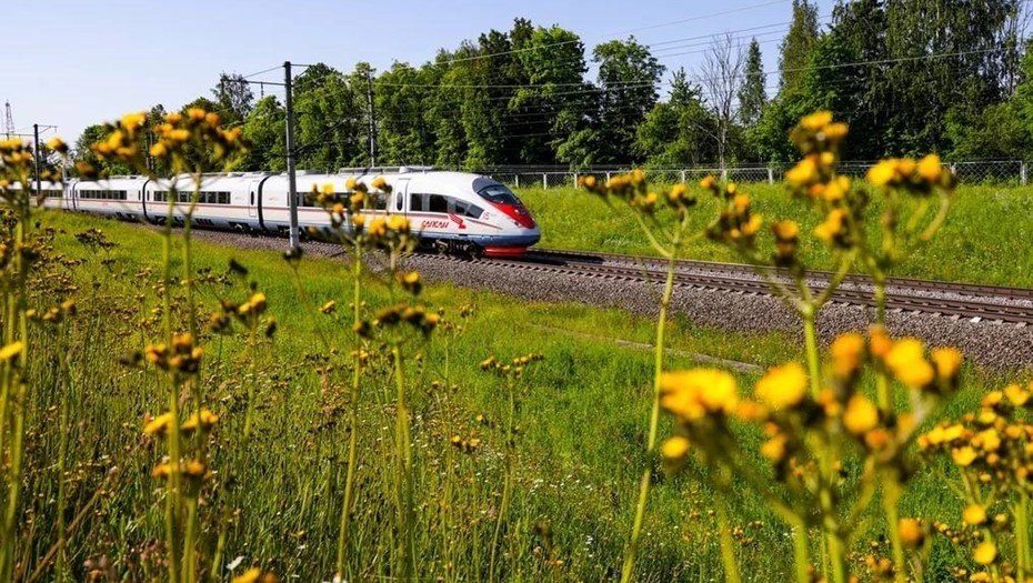    Автор фото: t.me/ozdrzd