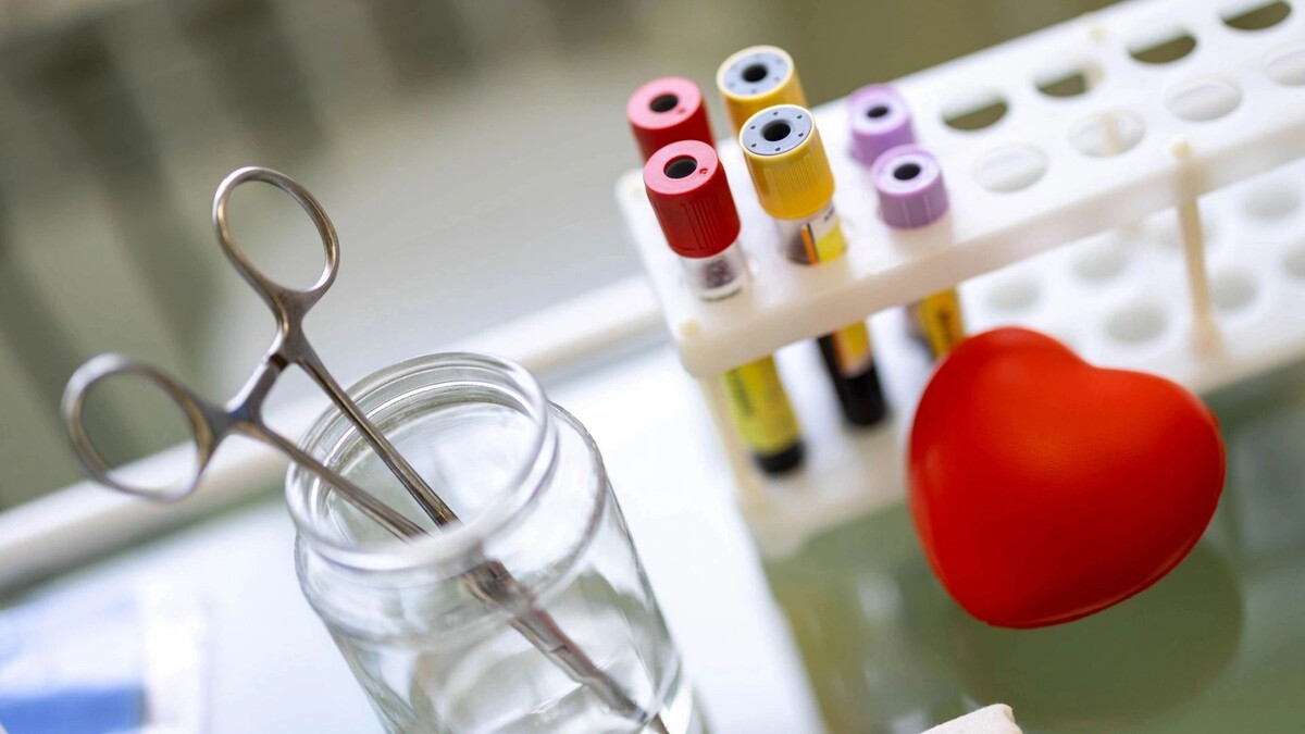    Фото: Юлия Чудинова/«Ямал-Медиа»