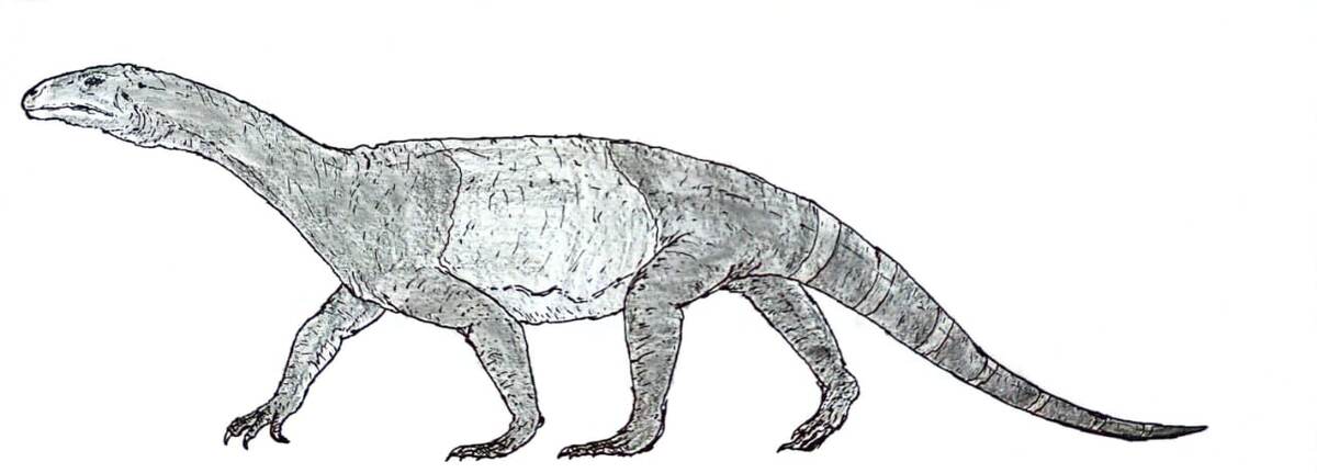 Азендозавр мадагаскарский.